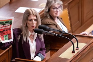 SPD chce bojovat proti konání sjezdu sudetských Němců v Česku - Seznam Zprávy