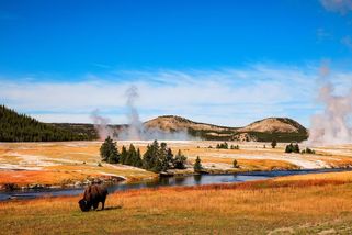 Na Trumpovy narozeniny bude vstup zdarma do národních parků USA - Seznam Zprávy