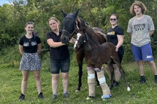 Dlahy, cvičení a mazlení. Hřebeček ze Stehelčevsi se nevzdává a dál bojuje