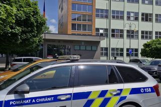 Homosexuální pedofil pohlavně zneužíval své děti, dostal pět let - Novinky