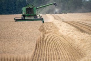 Kyjev si kvůli embargu na obilí stěžuje na Slovensko, Polsko a Maďarsko. Chystá odvetu
