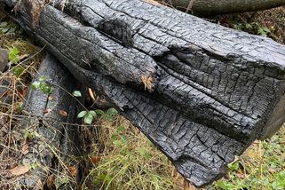 Národní park České Švýcarsko potrestal Němce za požár - Seznam Zprávy