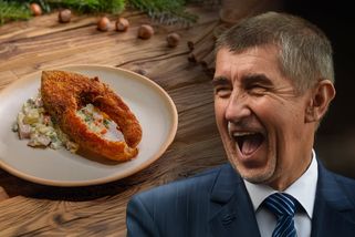 Chcete si užít Vánoce bez premiéra Babiše? Těmto z...