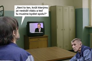 TMBK: Tohle může být osud Andreje Babiše do pár let - Seznam Zprávy
