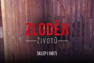 Ve sklepě znásilnil dívenku a po činu ji oslepil. Valdice pak netvora vyděsily k smrti - Novinky