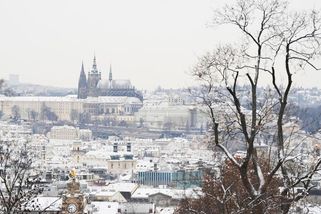 O Vánocích může sněžit i v nížinách - Novinky