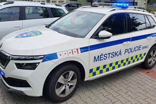 Zlomyslník odstranil od natřené lavičky v Brně cedulky s varováním a sledoval, jak se k ní lidé lepí - Novinky