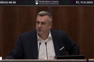 Slovenští poslanci prolomili veto prezidenta, úřad na ochranu whistleblowerů končí - Novinky