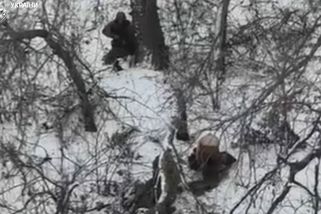 Přinutili ho se svléknout. Rusové v Doněcku zastřelili dva ukrajinské zajatce - Novinky