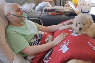 Nemocný chlapec si přál vidět babičku a mít štěně. Když ho dostal, další den vydechl naposledy - Novinky