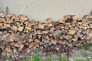 Kradli mu dřevo rok co rok. Naštvaný chatař situaci vyřešil jednou provždy