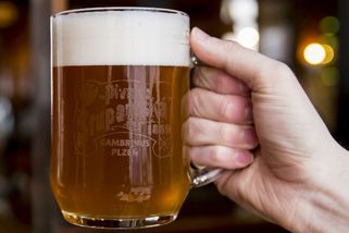 Pivo bude zdražovat. A razantně - Novinky
