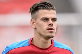 V Polsku prožil fiasko, teď má v Plzni nahradit Beauguela. Začátek nebude jednoduchý, předpovídá bývalý reprezentant - Sport.cz