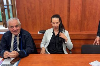 Po útoku rotvajlera má žena ochrnutou část ruky. Majitelka psa jí musí zaplatit milion - Novinky