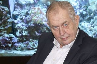 Vyvarujte se amatérismu, popřál Zeman nastupující vládě - Novinky