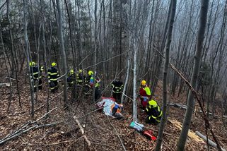 V Beskydech se zranil muž při prořezávání stromů - Novinky