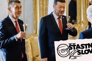 Komentář: Odkdy je Okamura premiér? A Babišovi to nevadí? - Seznam Zprávy