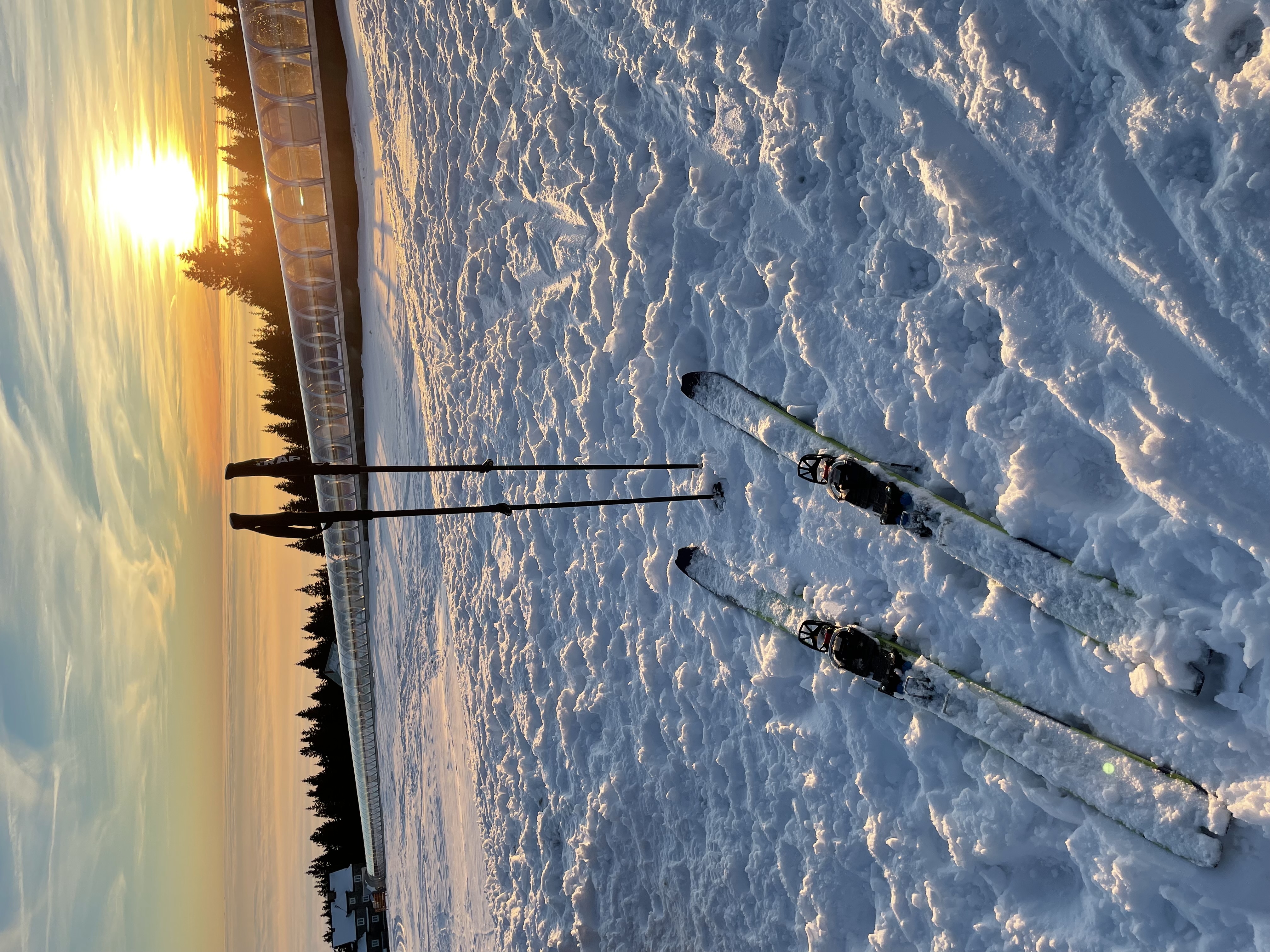 Obrázek u příspěvku