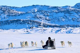 Dávalo by smysl vyslat do Grónska vojáky ze zemí EU, prohlásil generál - Seznam Zprávy