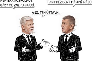 Prezident a vláda se shodnou, že se neshodnou. - Médium.cz