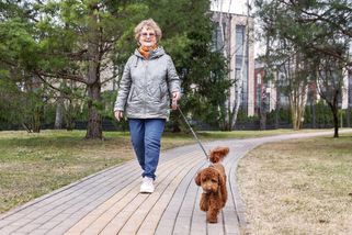 Přišel čas zaplatit za psa. V bytě vyjde dráž než v domě - Novinky