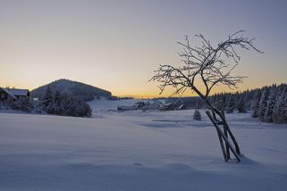 Arktická zima nekončí. Dorazí sníh a poté opět celodenní mrazy - Novinky