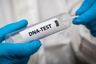 Řemeslník ukradl v bytě hodinky. DNA ho následně usvědčila z 12 let starého znásilnění - Novinky