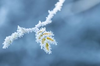Sever republiky znovu sevře tuhý mráz, varují meteorologové - Novinky