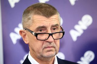Turek by měl dostat šanci přesvědčit veřejnost, že chce svou minulost odpracovat, míní Babiš - Echo24.cz