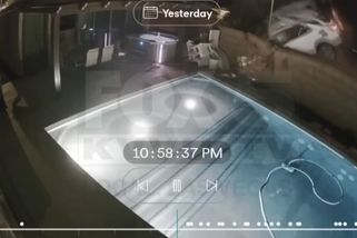 Řidička vypadla z letícího auta do bazénu. Divokou nehodu v USA zachytila kamera - Novinky