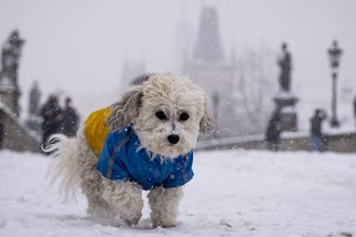 FOTO: Zasypaná Praha. Památky osiřely a sníh komplikoval dopravu - Novinky
