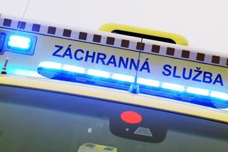 Seniorce v Plzni se zaběhl pes. Když ho chytala, skutálela se ze svahu do kolejiště - Novinky