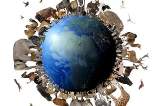 ŽENA-IN - Kvíz ze světa zvířat: Troufnete si na plný počet bodů? Nebude to až tak snadné