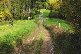 „Při obyčejné procházce mě a mého syna málem zastřelili,“ říká Lukáš. Podle policie o nic nejde