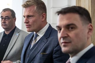 Kompetenční žaloba na prezidenta je definitivně ze hry. Turek by mohl do think tanku - Novinky