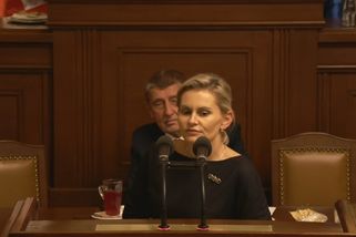 Dusno ve Sněmovně: Za taková slova bych své děti přerazila, reagovala Malá na výroky Hřiba