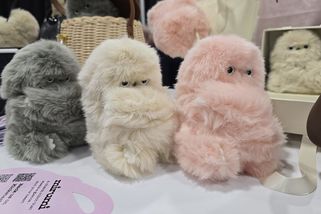 CES 2026: Nic neumí, přesto je to hit. Robotický plyšák vydělal za pár dní miliony - Novinky