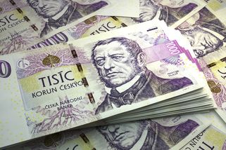 Šebestyán: Rozpočet ministerstva zemědělství je potřeba navýšit alespoň o osm miliard korun