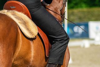 Američan vtrhnul na koni do supermarketu. Komplic scénu natáčel - Novinky