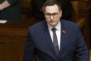 Lipavský zvažuje vstup do ODS - Seznam Zprávy