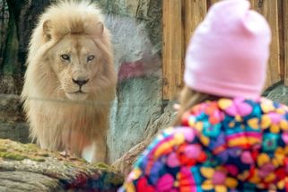 Za korunu do zoo i do bazénu. Tipy, kam vyrazit o pololetních prázdninách - Seznam Zprávy