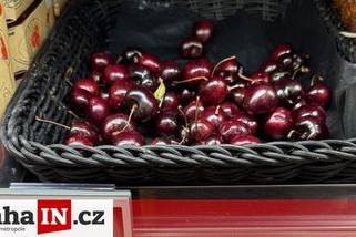 prahain.cz/jidlo/v-praze-se-uz-prodavaji-tresne-kilogram-vychazi-na-sestinasobek-prumerne-hodinove-mzdy-21680.html