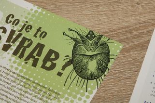 Ve škole na Klatovsku se mezi dětmi objevil svrab - Novinky