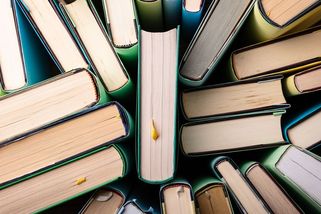 Nakladatelství stahuje z trhu dětskou knihu. Psalo se v ní o nahé sestře - Seznam Zprávy