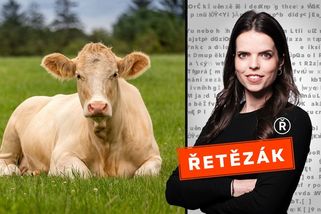 Divoké konspirace o slintavce a kulhavce zaplavily sociální sítě - Novinky