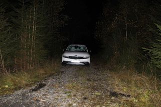 Cizinci kradli elektroauta po celé republice. Přes Polsko je pak dostávali do ciziny - Novinky