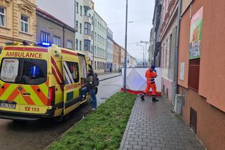 Vražda na ulici v Brně: Obviněnému muži hrozí 20 let - Novinky
