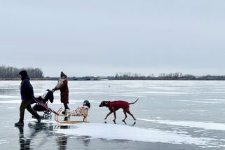 Tuhá zima trvala jen týden. Leden byl na hraně - Seznam Zprávy