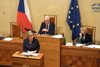 Kde mám tlačítko? Vildumetzová rozjíždí v Senátu poslanecké manýry, kolegové kroutí hlavami - Novinky