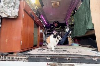 Angličan bydlí v dodávce jen s kočkou a je šťastný. Ušetří a má klid od sousedů - Novinky